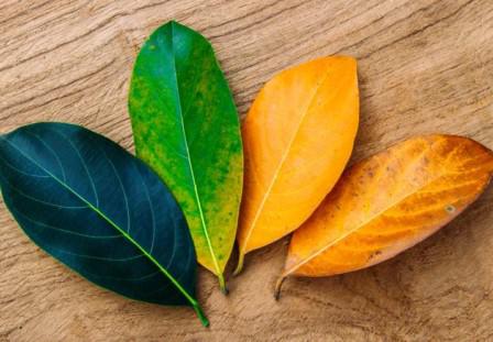 Changing Your Technology Mindset